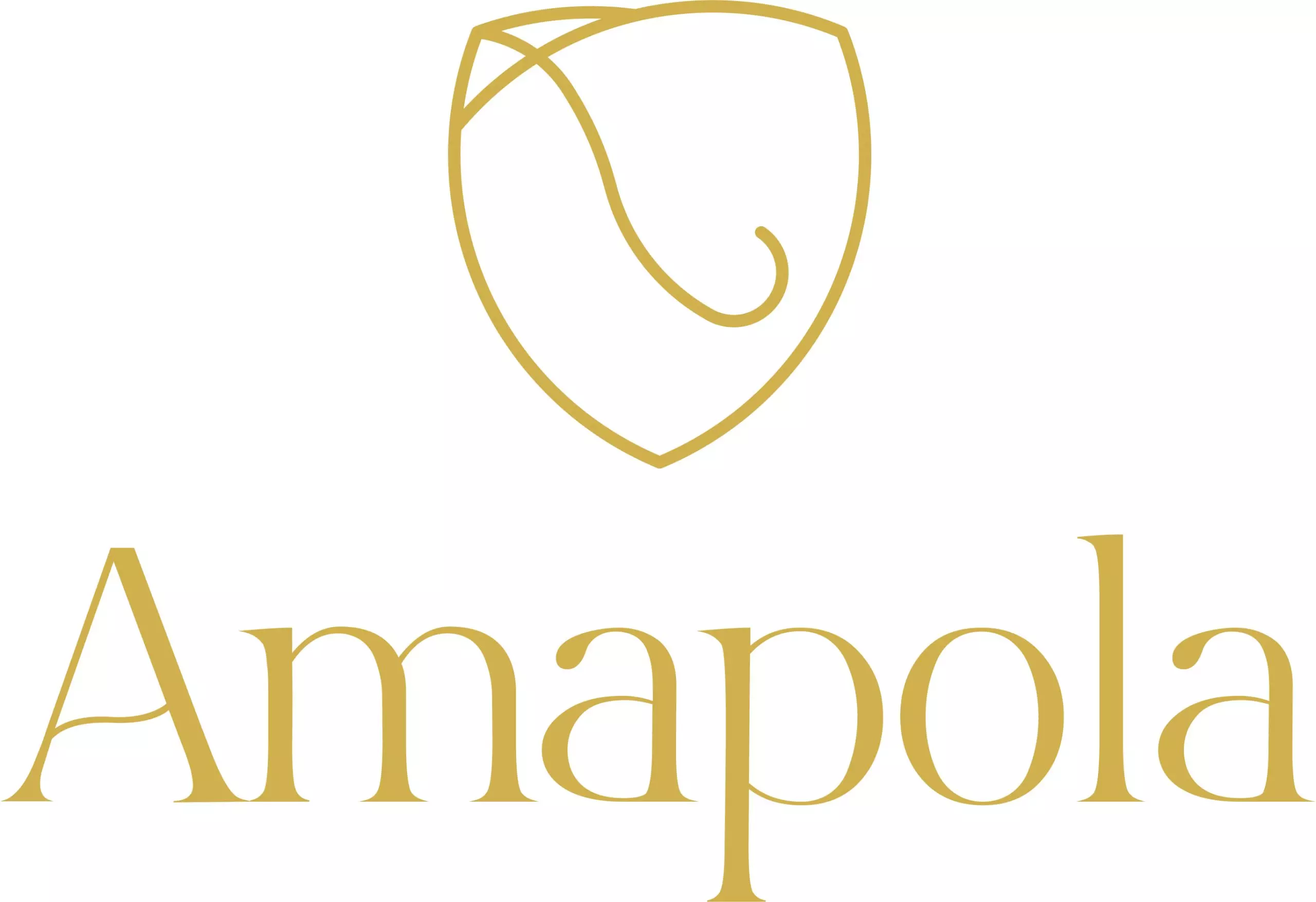 AnyConv.com__AMAPOLA-scaled
